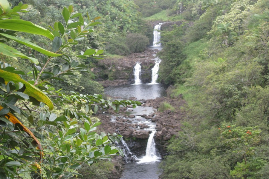 ../image/world botanical gardens - umauma falls 4.jpg